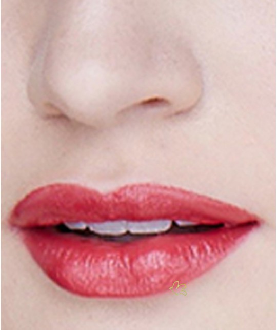 Lily Lolo Natural Lipstick Scarlet Red swatch