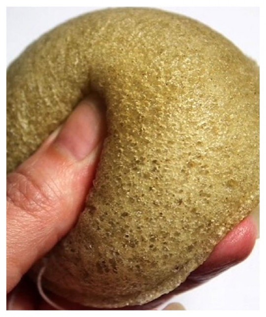 Konjac Sponge Green Tea Schwamm Gesicht Anti Aging antioxidant vegan