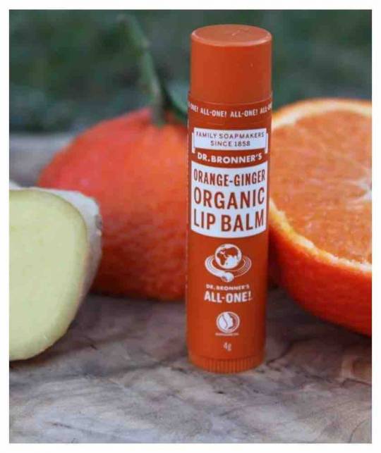 Dr. Bronner's Organic Lip Balm Orange Ingwer Naturkosmetik