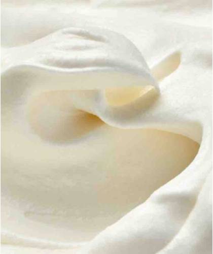 Whipped cream Shea Butter & Kokosnuss Naturkosmetik Les Essentiels Körperpflege Haarkur