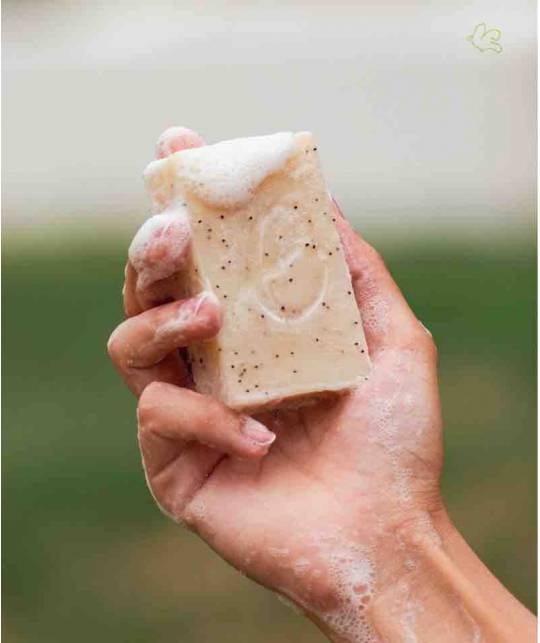 Organic moisturizing soap Exfoliating Lemon & Mint Les Essentiels natural cosmetics France