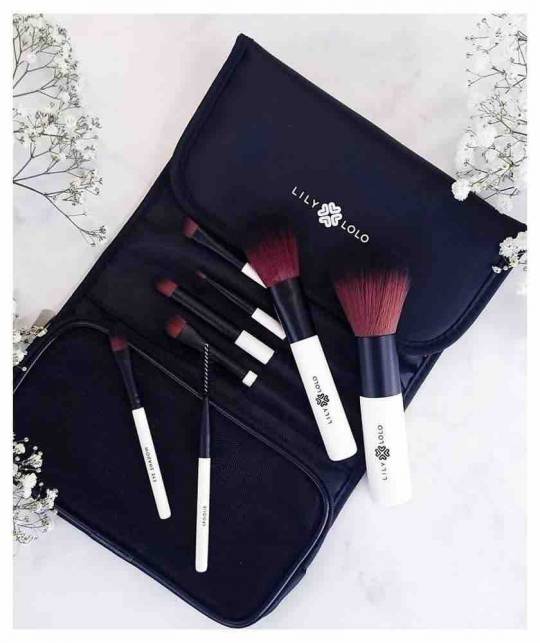 Lily Lolo Kosmetikpinsel Set Naturkosmetik Mini Reise Brush Set Makeup Kosmetiktasche