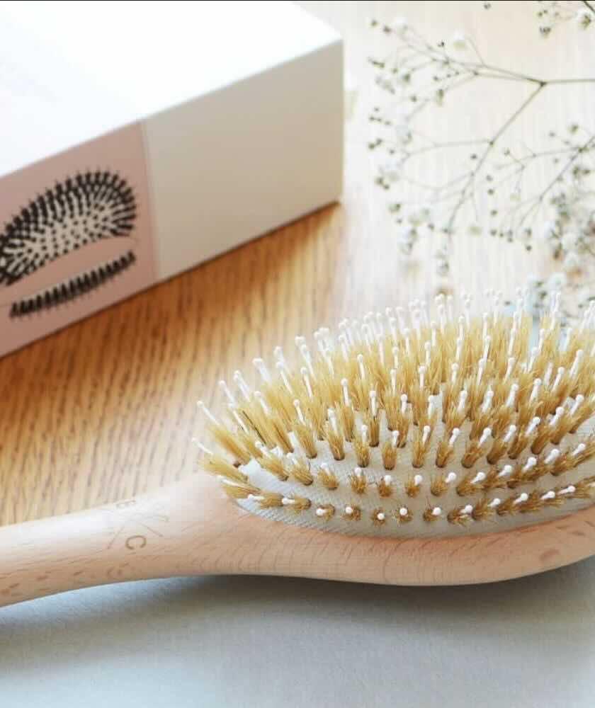 Brosse poils de sangliers BR98185 (DUR