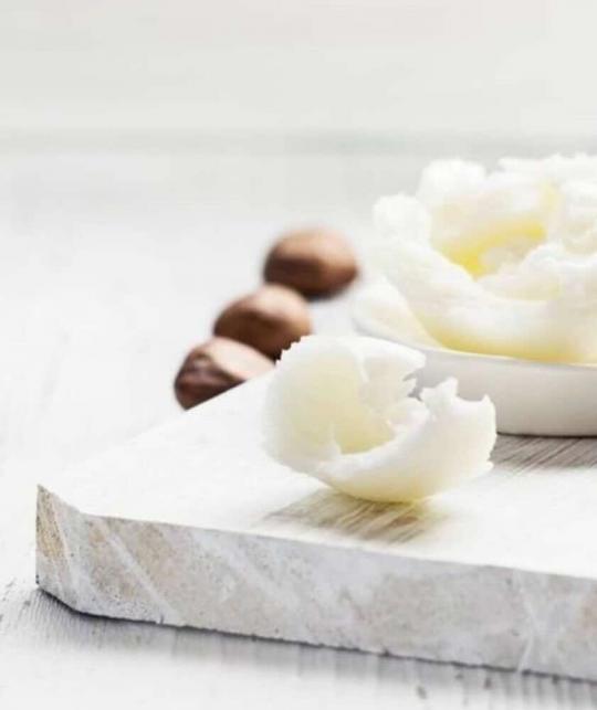 Shea Butter – natural ingredient in Joveda Shea Butter Moisturizing Cream for dry skin
