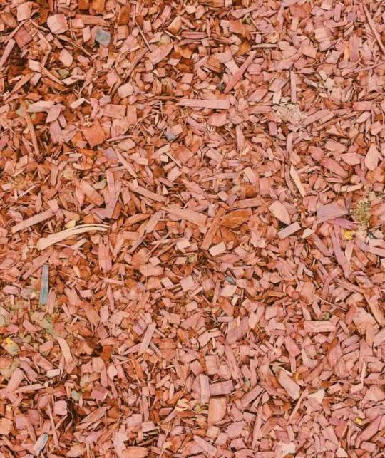 Sandalwood – natural ingredient in Joveda Matifying Sandalwood Day Cream