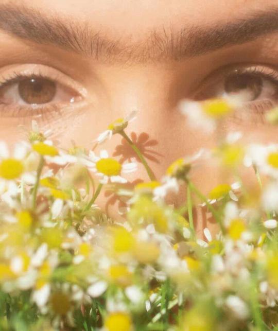 Matifying Sandalwood Day Cream Joveda vegan ayurvedic skincare l'Officina Paris
