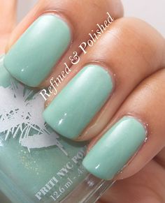 pritinyc dusty miller