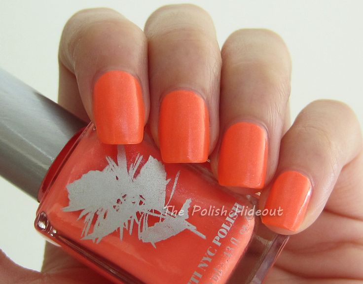 pritinyc flame of the forest