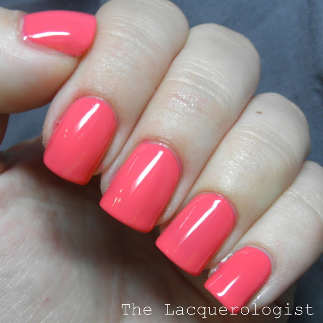 pritinyc jersey beauty dahlia