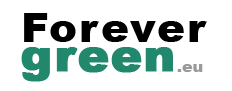 Ami Iyök parmi les "nouvelles pépites de beauté" sur FOREVERGREEN !