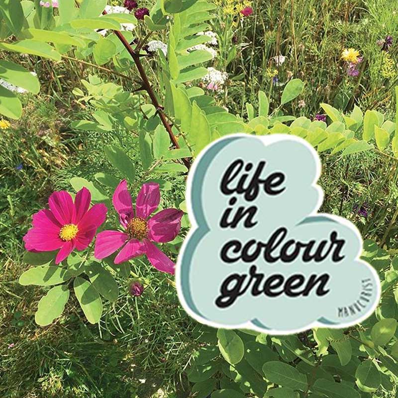 Manicurist Paris Green Garden Collection vernis Printemps Eté 2019 Life in colour Green 