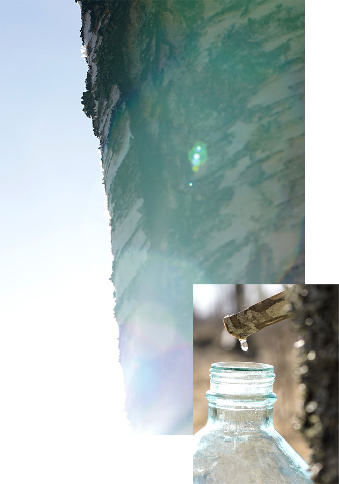 Madara cosmétique Soin anti-âge bio Time Miracle jus de bouleau