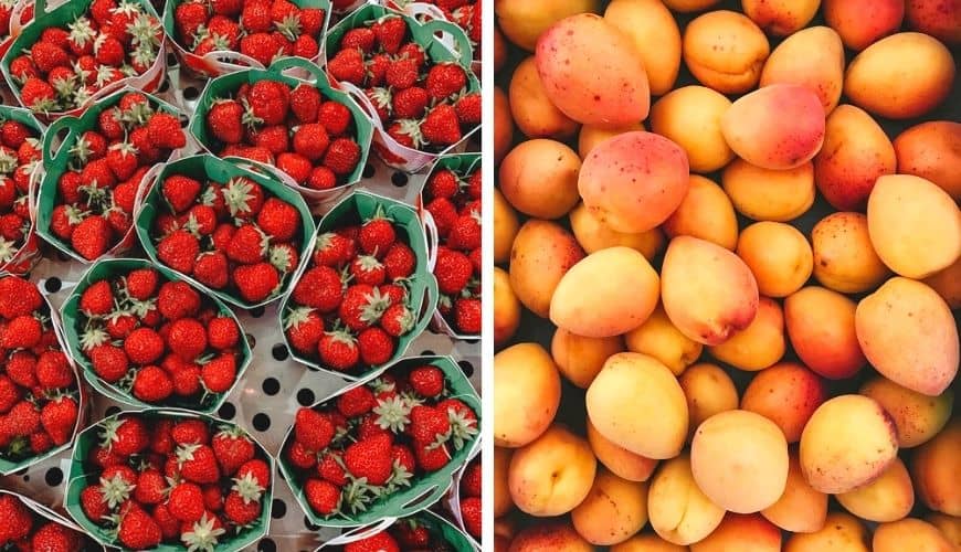 Manucurist vernis Green collection été l'Officina Paris magasin en ligne cosmétiques naturels et bio