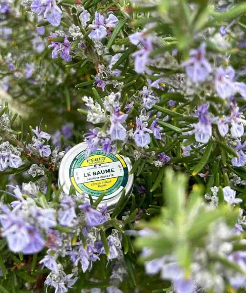 Baume à lèvres Violette – FÉRET Parfumeur, soin hydratant et naturel, L’Officina Paris