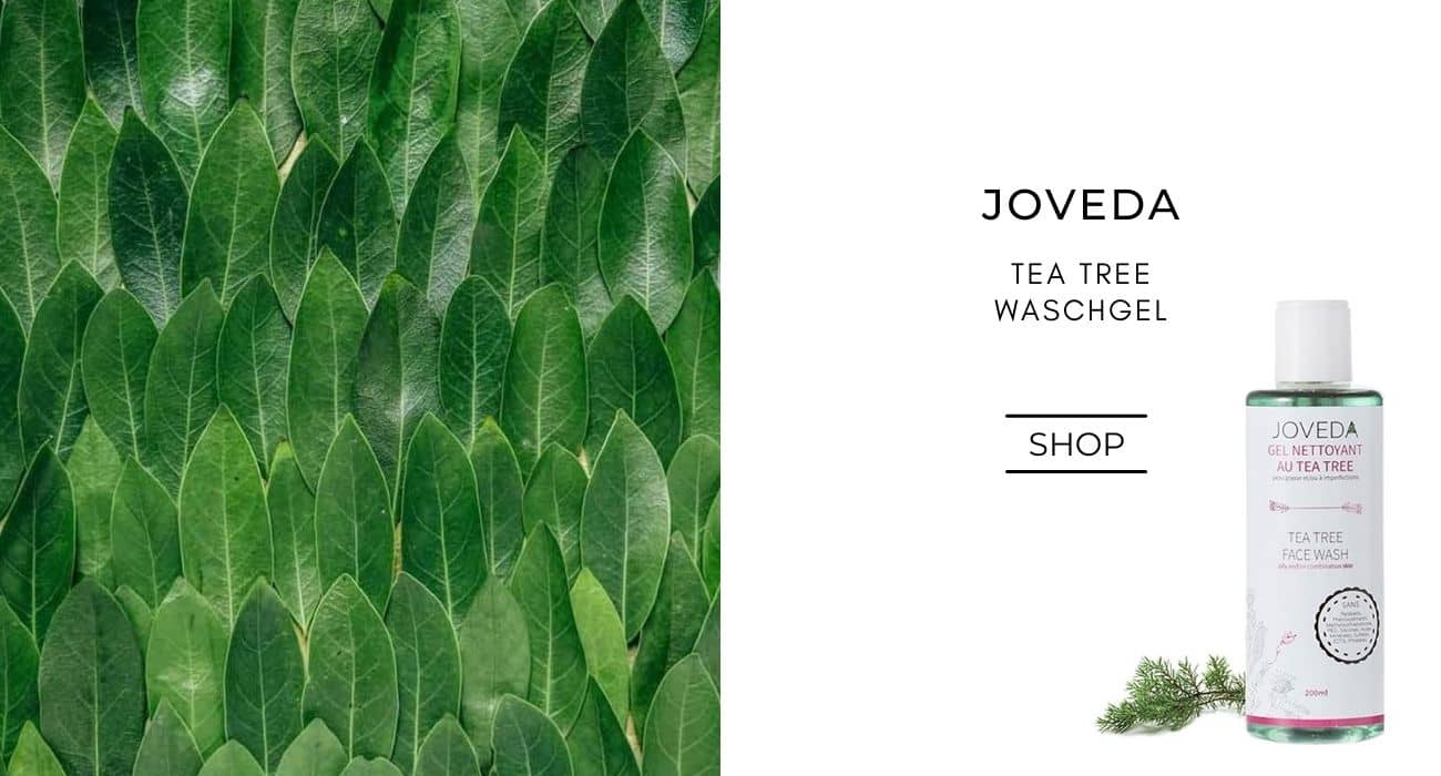 Joveda Tea Tree Waschgel Akne Naturkosmetik unreine Haut ayurvedic skincare Teebaum