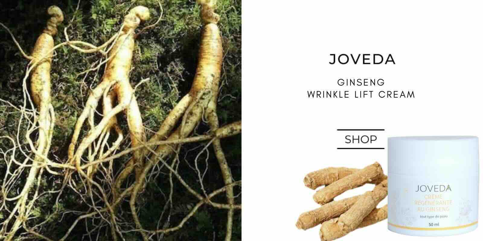 Joveda ayurvedic skincare Ginseng wrinkle lift cream anti ageing mature skin natural cosmetics